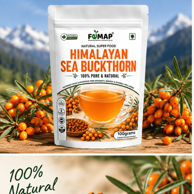 Himalayan Sea Buckthorn - Image 2