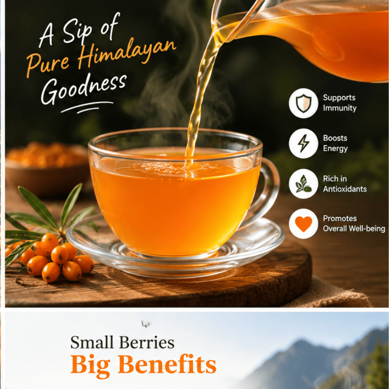 Himalayan Sea Buckthorn - Image 3